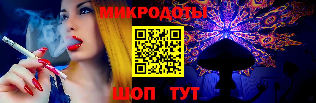 Галлюциногенные грибы Psilocybe Азов